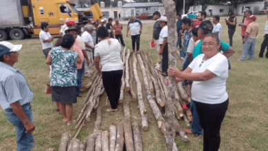 Photo of Dan clases de armado de tablado en Tizimín 