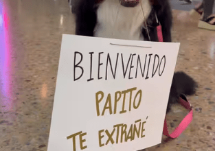 Photo of Lomita recibe a su dueño en el aeropuerto con emotivo mensaje. VIDEO