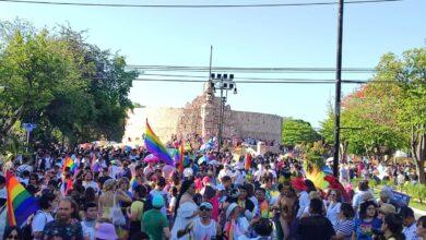Photo of Personas LGBT+ podrán contender por candidaturas