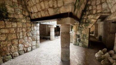 Photo of Chichén Viejo ya recibe visitantes