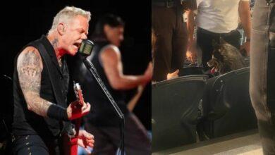 Photo of Perrita se escapa y aparece en concierto de Metallica
