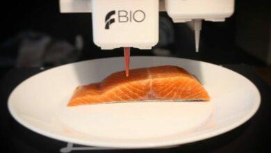 Photo of Imprimen salmón en 3D comestible