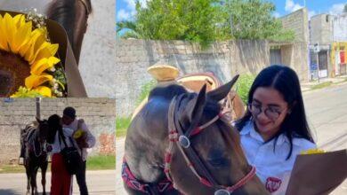 Photo of Yucateco llegó con flores amarillas… y su caballo
