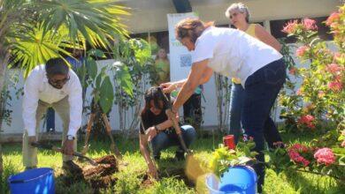 Photo of Estudiantes y gobierno logran un Yucatán más verde