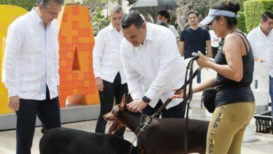 Photo of Renán Barrera invita a jornadas de esterilizaciones