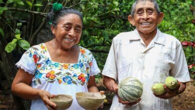 Photo of ¿Pumpkin latte? Xcaita, bebida yucateca hecha de calabaza 