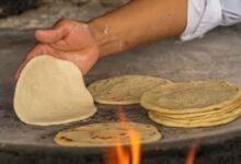 Photo of Tortilla, el “pan” más popular del mundo: Taste Atlas