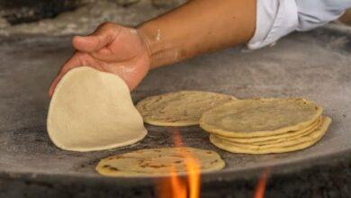 Photo of Tortilla, el “pan” más popular del mundo: Taste Atlas