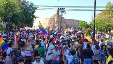 Photo of Personas LGBT+ podrán contender por candidaturas 