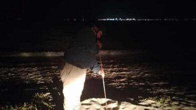 Photo of Rescatan 140 huevos de tortuga en Progreso