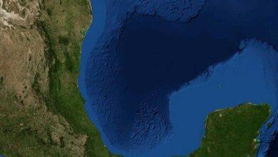 Photo of Bacteria “devora carne” con presencia en el Golfo de México 