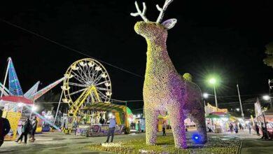 Photo of La Feria de la Naranja y sus esculturas ya tienen fecha 