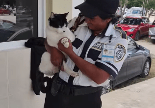 Photo of “Mordisko”, mascota de FCA, ya está en el nuevo campus 