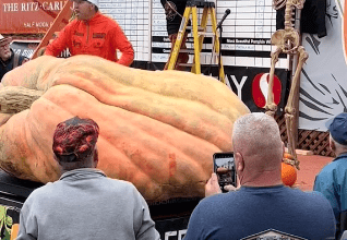 Photo of La calabaza más grande del mundo rompe récord con 1,246 kilos