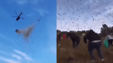 Photo of Influencer lanza un millón de dólares desde helicóptero