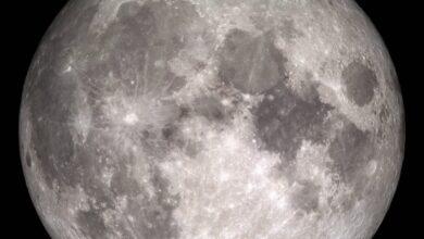 Photo of Octubre se despide con la Luna del Cazador
