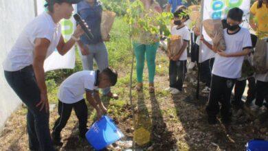 Photo of Con “Un niño, un árbol”, pequeños contribuyen a la reforestación 