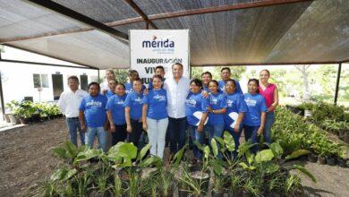 Photo of Renán Barrera inaugura el nuevo vivero municipal