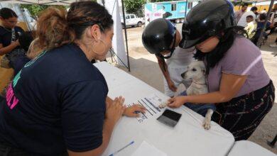 Photo of “Actas de nacimientos mascotas” en Valladolid