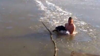Photo of Rompe con sus manos hielo de un lago congelado para rescatar a un perrito
