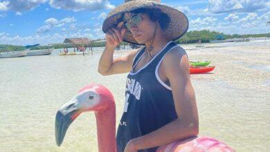 Photo of “Luffy” de One Piece se pasea en Yucatán 