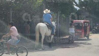 Photo of Lleva a su hijo al kínder en caballo 