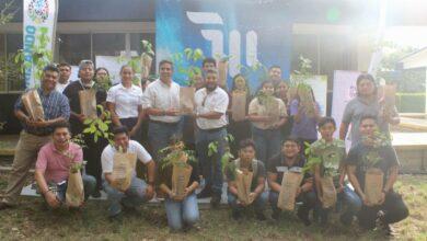 Photo of Jóvenes se suman a la arborización de Yucatán