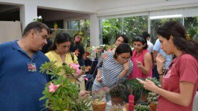 Photo of Exposición de cactáceas y suculentas este fin de semana