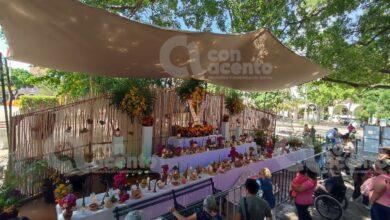 Photo of Altar Monumental de Janal Pixan en el Centro de Mérida