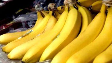 Photo of El plátano estaría en peligro de extinción
