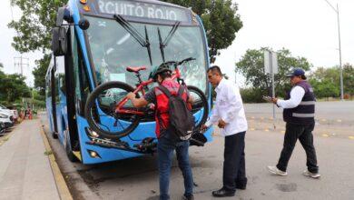 Photo of Circuito Rojo “Va y Ven” inicia operaciones; una semana gratis