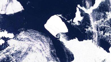 Photo of El iceberg más grande del mundo está en movimiento tras 30 años