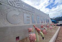 Photo of Vila mejora los servicio turísticos en Celestún