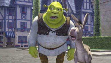 Photo of Niño se llamaba Shrek y pidió cambiarse de nombre
