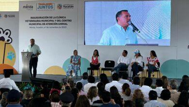 Photo of Renán Barrera anuncia dotación mensual de alimentos a albergues de mascotas