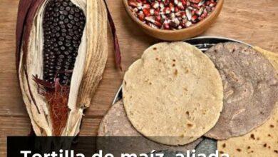 Photo of Tortilla de maíz, aliada contra el cáncer: Investigadores