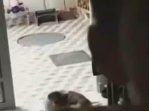 Photo of Niño le pide ayuda a Alexa con su tarea y le responde susurrando
