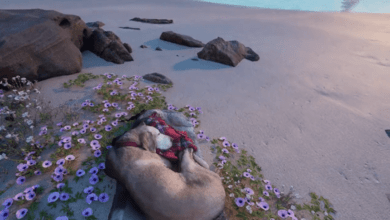 Photo of Utiliza la IA para “llevar” a su perro fallecido a la playa