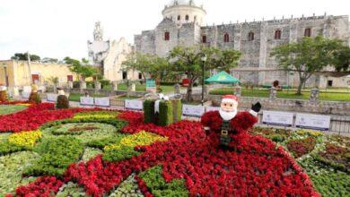 Photo of El Paseo Navideño de las Flores llega a Umán