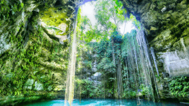 Photo of Cenotes de Yucatán, “Maravillas naturales extraordinarias”: Revista Viajar