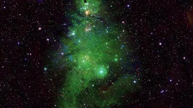 Photo of NASA capta Árbol de Navidad Cósmico 