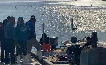 Photo of Tiburón de 4 metros ataca y mata a pescador en playa de Sonora
