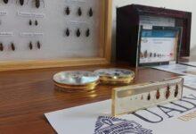 Photo of Implementan Inteligencia Artificial para estudiar la enfermedad de Chagas