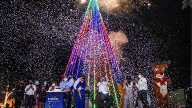 Photo of Hoy enciende arbolito de Paseo de Montejo