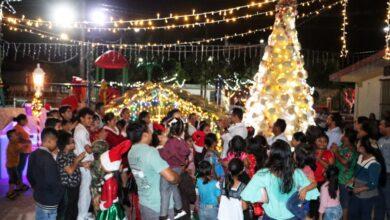 Photo of Encienden arbolito navideño hecho de sombreros de guano