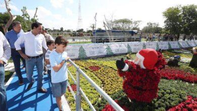 Photo of Mauricio Vila inaugura el Paseo Navideño de las Flores en La Plancha