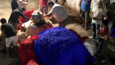 Photo of Realizan piñatas gigantes en Tekax