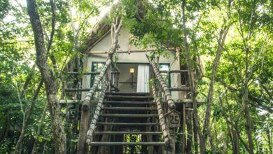 Photo of Zona maya de Quintana Roo ofrece hospedajes «Airbnb mayas»