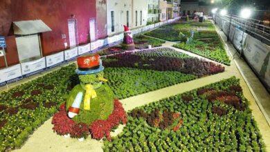 Photo of Paseo Navideño de las Flores en Mérida, Umán, Valladolid e Izamal