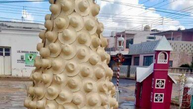 Photo of Crean “árbol” de Navidad con tradicionales sombreros de guano